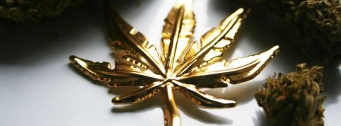 Une feuille de cannabis en or