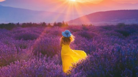 Une femme portant une robe jaune dans un champ de lavande