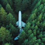 Un avion dans une forêt