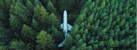 Un avion dans une forêt