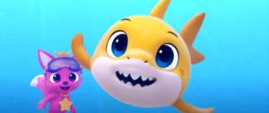 bébé requin jaune vidéo youtube