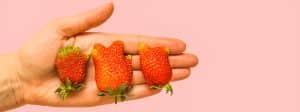 3 fraises dans main sur fond rose