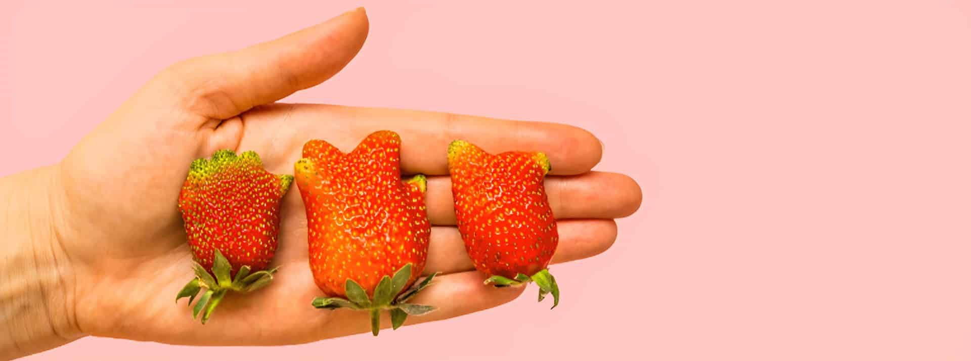 3 fraises dans main sur fond rose