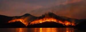 Un incendie de forêts