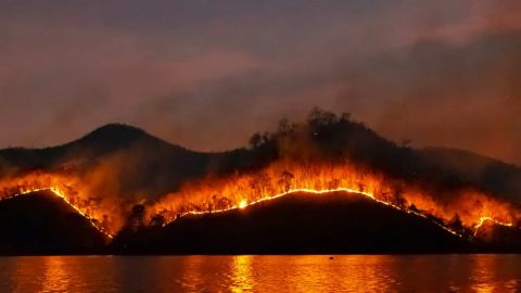 Un incendie de forêts