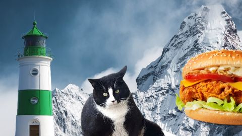 L'Everest, un chat, un burger et un phare