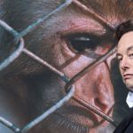 Elon Musk devant un singe en cage