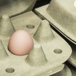 Une boîte pour un œuf unique