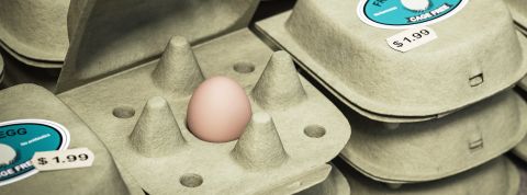 Une boîte pour un œuf unique