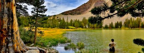 Capture du film : Et au milieu coule une rivière