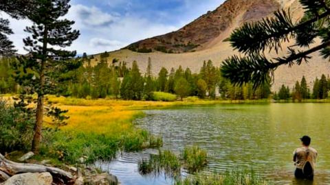 Capture du film : Et au milieu coule une rivière