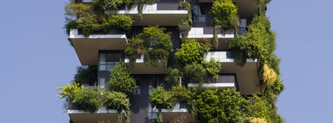 Un bâtiment et des arbres