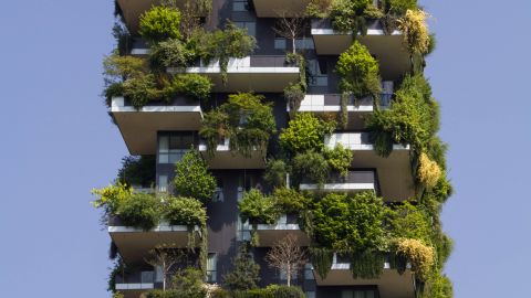 Un bâtiment et des arbres