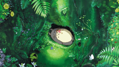 Une forêt