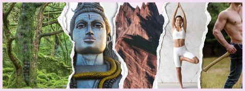 Foret, bouddha, montagen rose, yoga girl et bucheron musclé