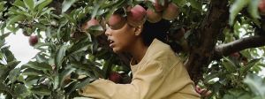 Une fille dans un pommier qui semble apeurée