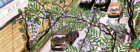 Illustration du périphérique avec de la glycine