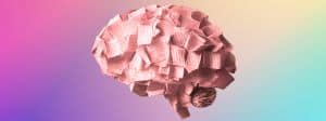 Un cerveau fait de pages de livres
