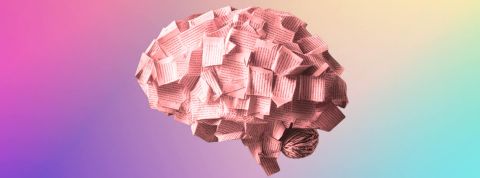 Un cerveau fait de pages de livres