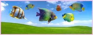 Des poissons tropicaux sur fond d'écran basique Microsoft