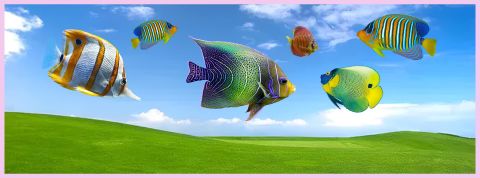 Des poissons tropicaux sur fond d'écran basique Microsoft