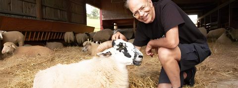 peter Singer avec un mouton