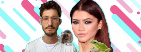 Êtes-vous plutôt souris ou grenouille&nbsp;? Sur Tiktok, il faut choisir son camp