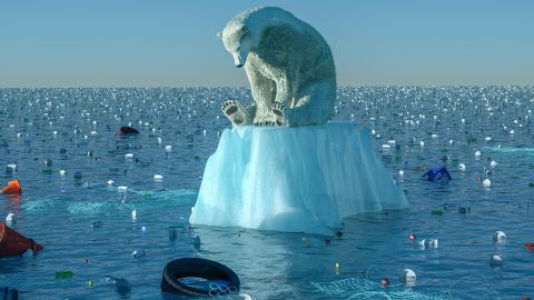 Un ours polaire sur un bout de banquise dans une mer très polluée