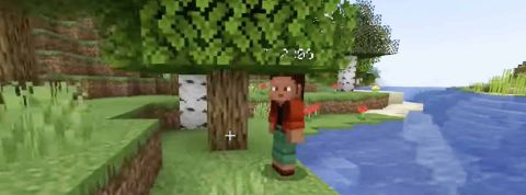 Une capture de jeu Minecraft avec un personnage
