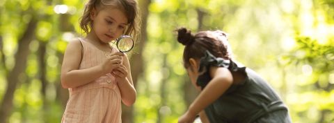 Des petites filles dans la forêt