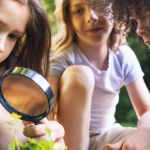 Des enfants dans la nature, avec une loupe