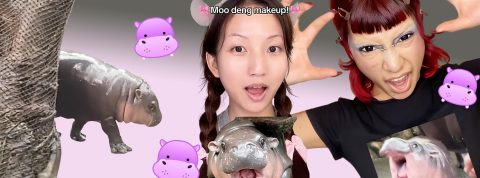 Montage avec des captures TikTok de make up Moo Deng