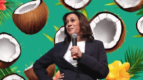 Kamala harris sur un fond de noix de coco