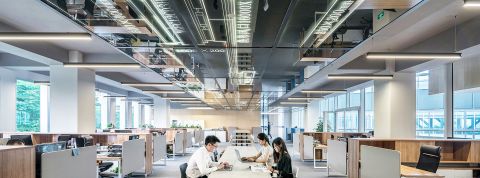 personnes dans des bureaux
