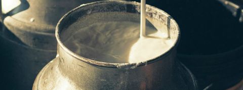 Un broc en métal de lait cru