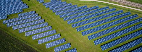 Un champ de photovoltaïques