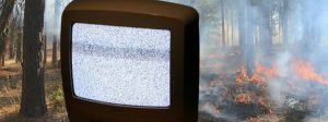 Un écran de TV qui grésille devant une forêt en feu
